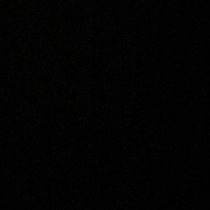 Meet your Posher, Solomon